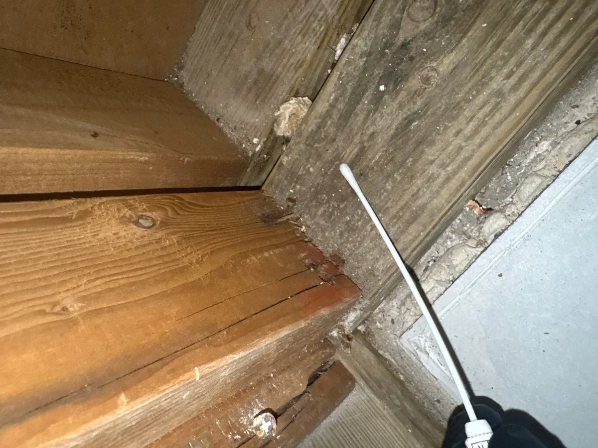 Restoration project by Paramount Property Restoration in Miami, Florida