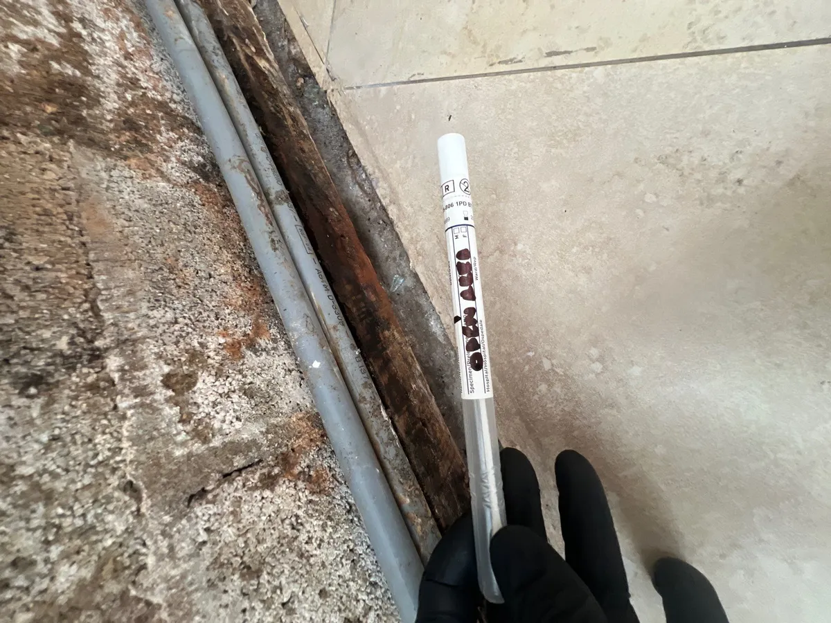 Restoration project in Miami