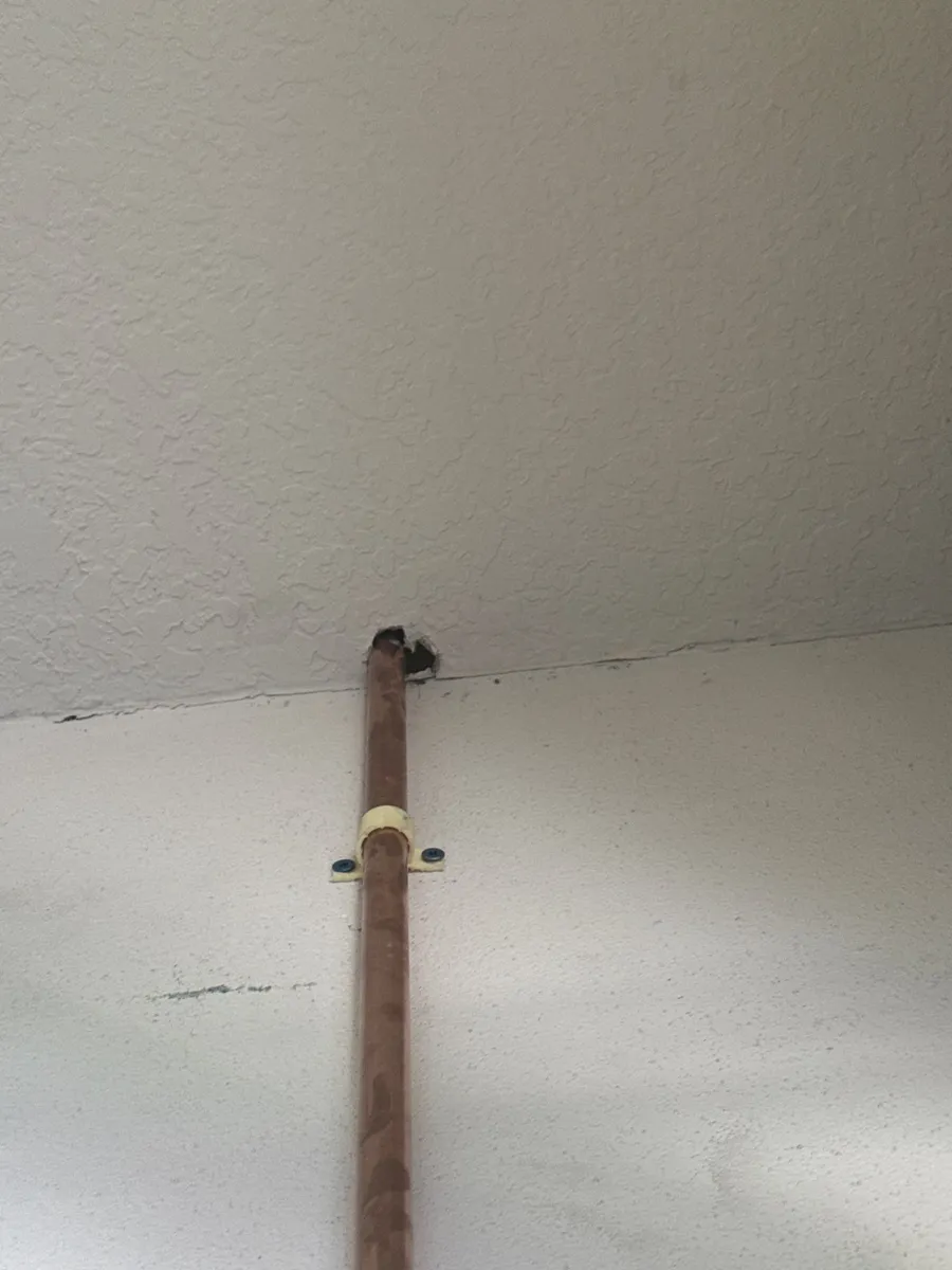 Restoration project in Port St. Lucie