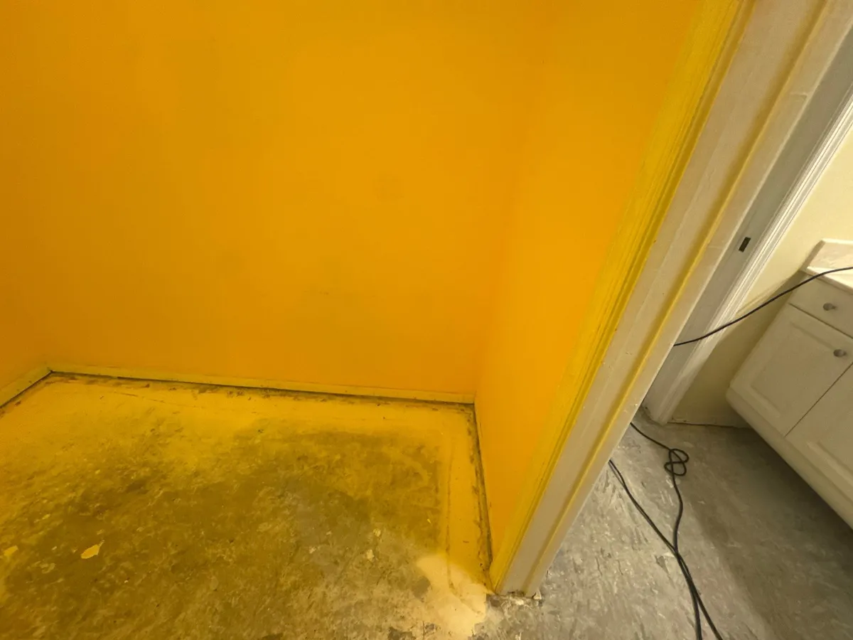 Restoration project in Sarasota