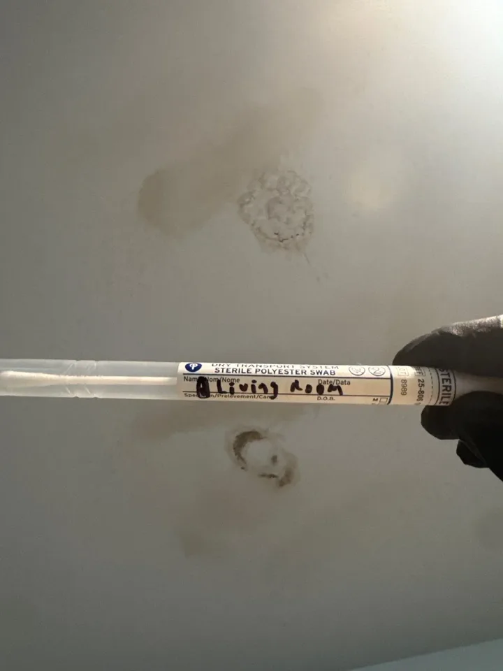 Inspection tool beside a discolored section of ceiling.