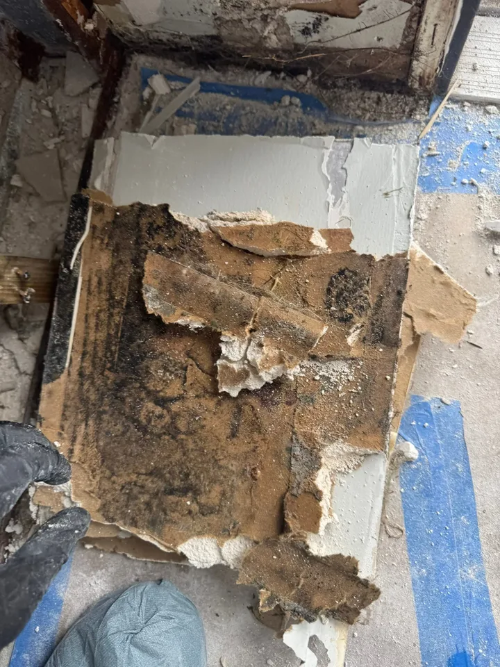 Closer view of the affected interior wall and window opening.