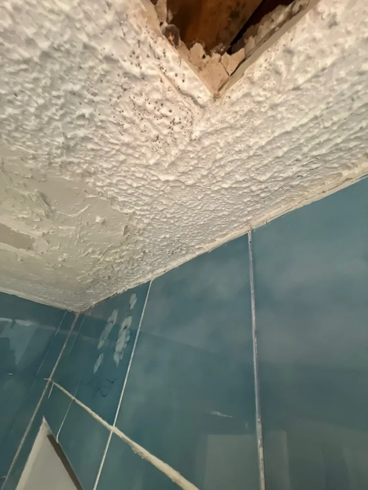 Closer view of the ceiling materials and the wall junction.