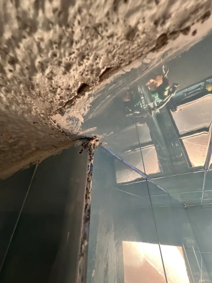 Damaged ceiling materials above a tiled interior wall.